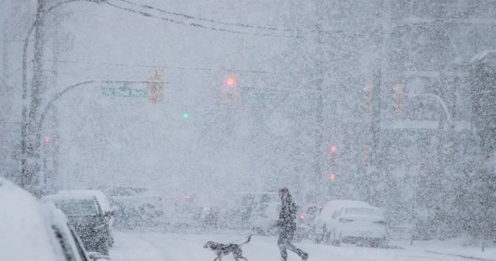 Badai salju diperkirakan akan mengakhiri minggu kerja di London, Ontario.  – London
