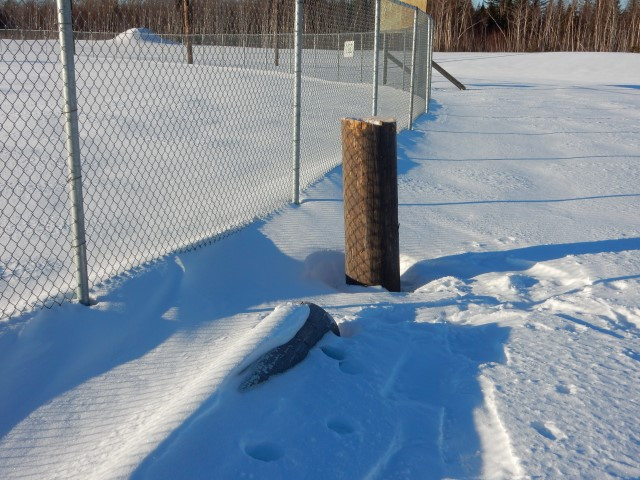 A photo depicts the vandalized light pole at a ball field in Eel Ground First Nation.