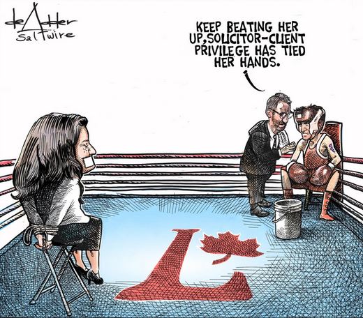 Cartoon of Trudeau, avalanche slammed for being in 'poor taste' due to  brother's death - National 