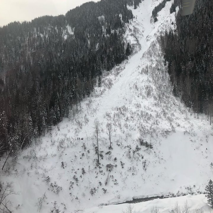 An avalanche on Mount Fernie buried two skiers on Sunday. One was rescued by search and rescue. 