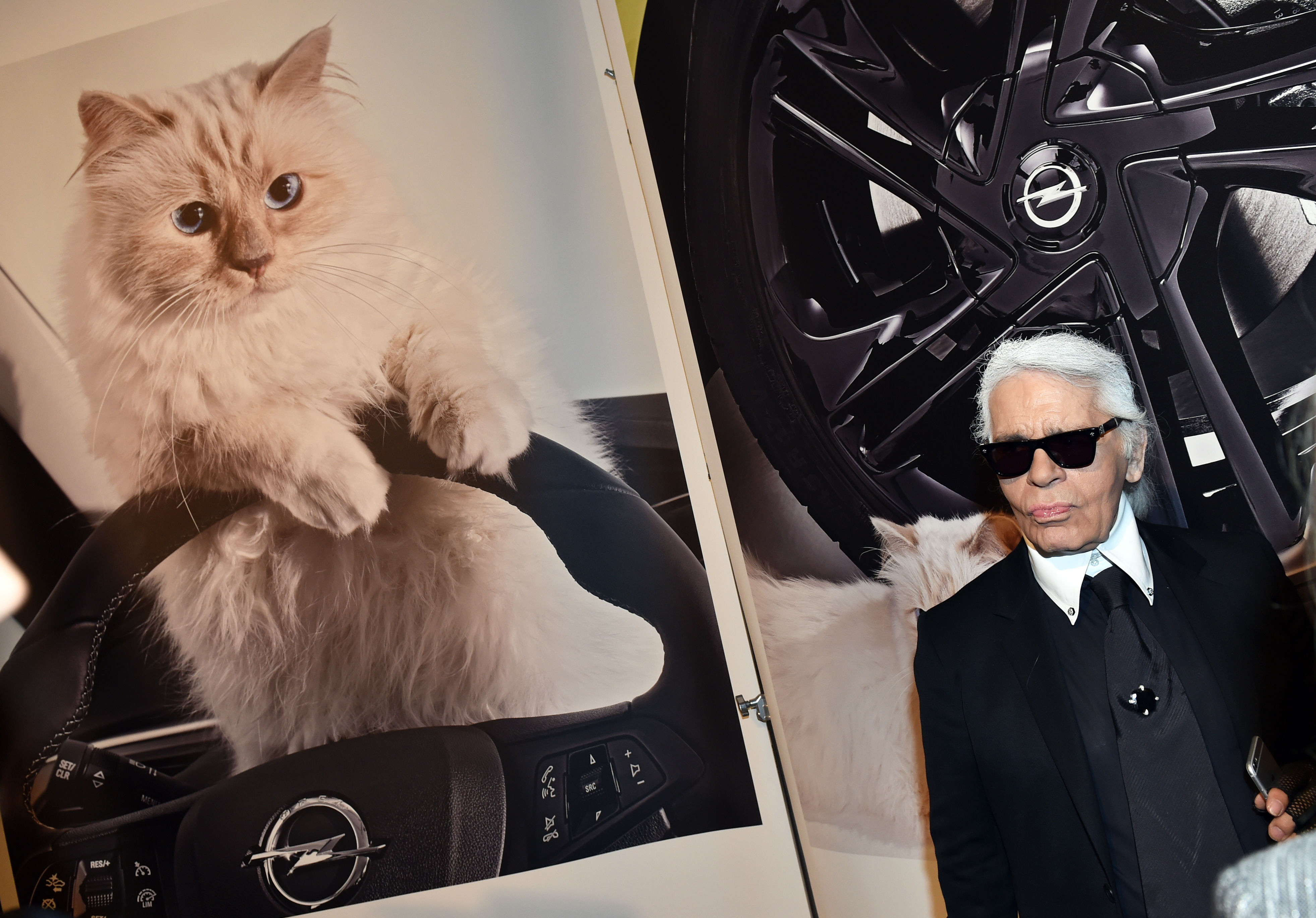 Karl Lagerfeld's cat set to inherit a chunk of the fashion designer's  fortune to maintain lavish lifestyle - ABC News