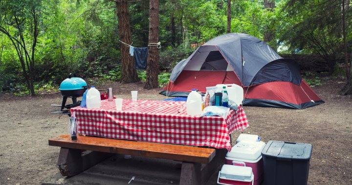 B.C. launching new camping reservation website in March