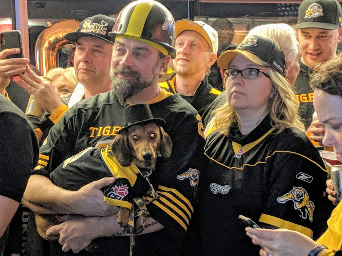 Fans and their dog gather in Hamilton as the CFL announced the city will host the 2021 Grey Cup.