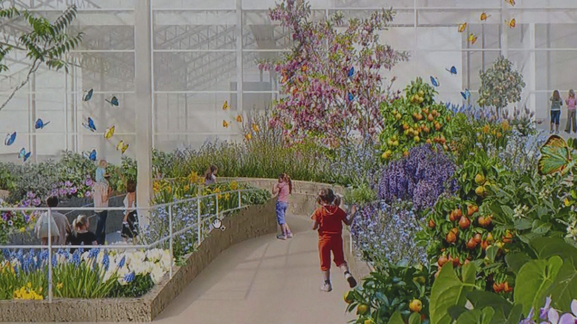 Montreal Insectarium to close for makeover Montreal Globalnews