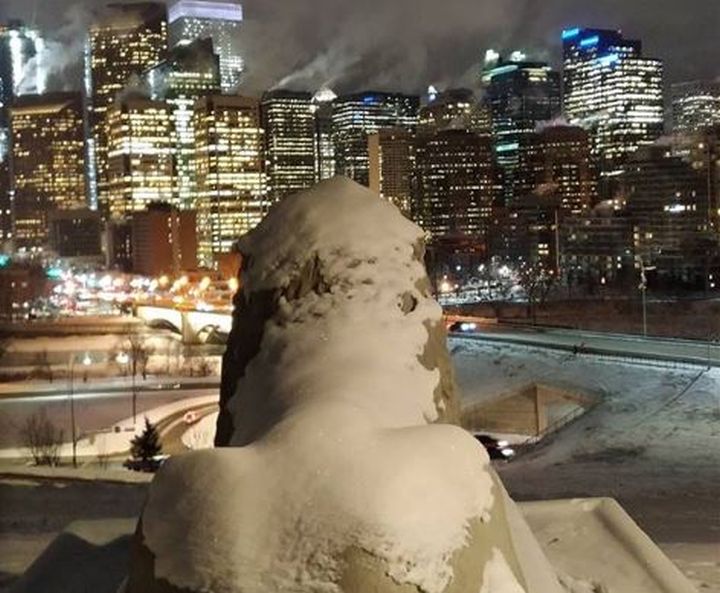 A snow-covered lion statue watches over downtown Calgary in this Instagram photo.