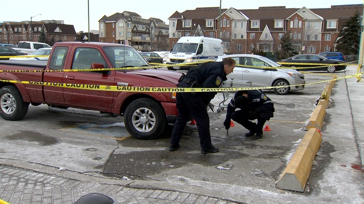 Police investigate a red pickup truck with damage to its hood at the scene of a pedestrian struck in Mississauga Saturday afternoon.