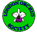London Orchid Society- 40th Annual Orchid Show & Sale! - image