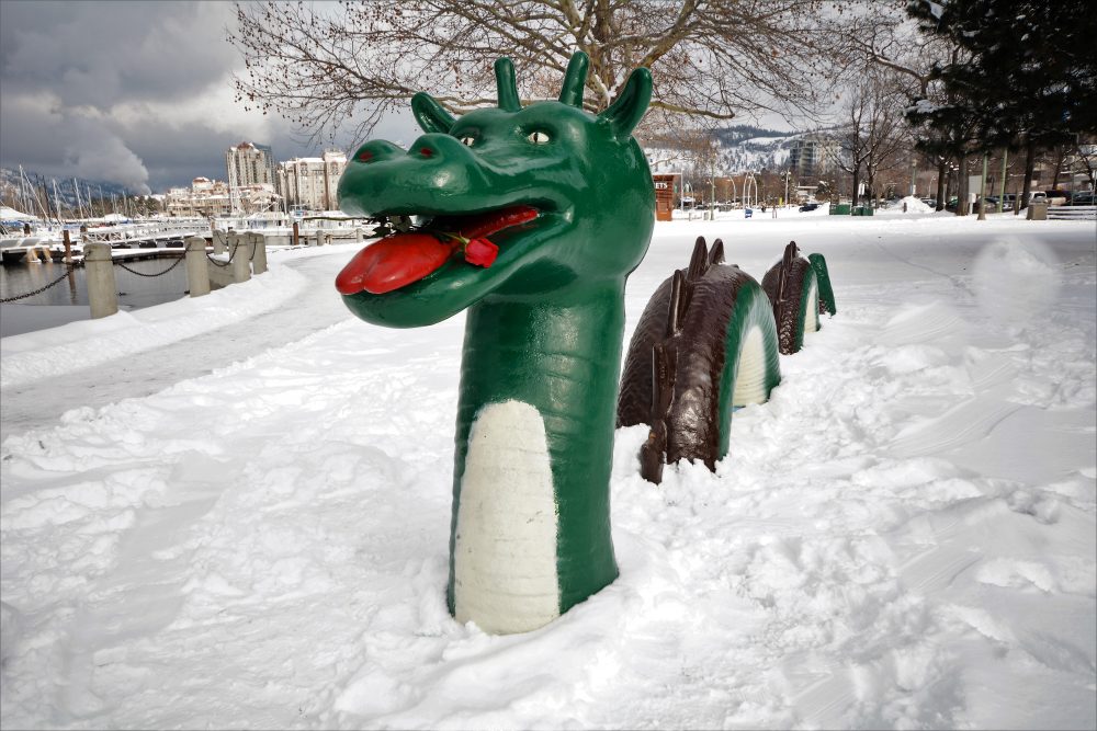 This summer, the Okanagan provided two great distractions from COVID-19 when two separate people managed to capture odd waves on Okanagan Lake.