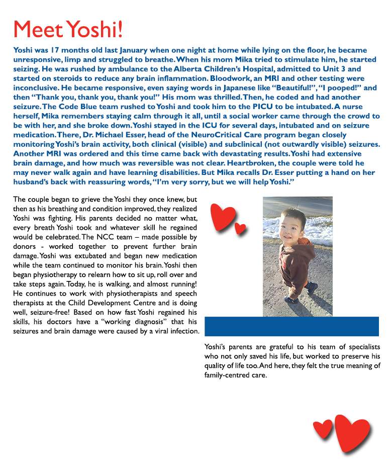 Yoshi’s Story - image
