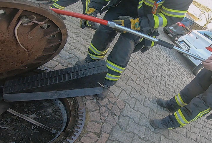 Berufstierrettung Rhein Neckar via Facebook