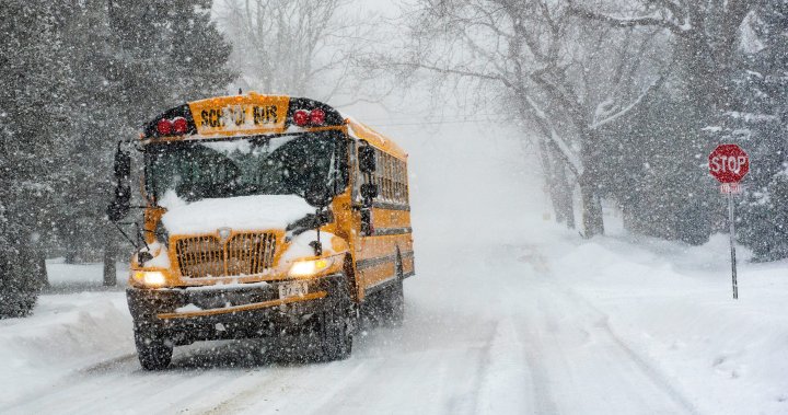 Могат ли подобрените метеорологични модели да помогнат на B.C. училищата вземат по-рано решения за затваряне през снежния ден?