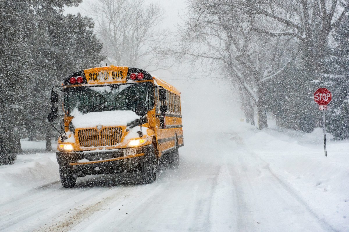 A school bus full of kids slid off the road in Petawawa, Ont. on Wednesday, OPP said. No injuries were reported. File photo.