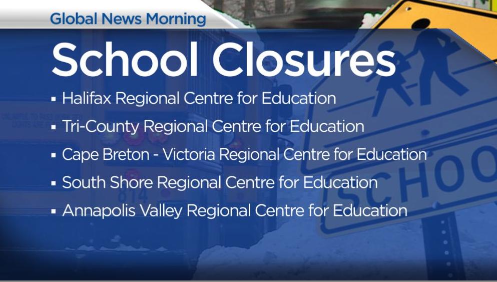 Winter storm brings heavy snow, ice pellets and strong winds to Nova Scotia - image