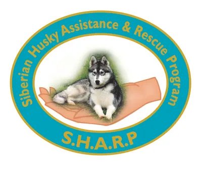 The Siberian Husky Assistance and Rescue Program have retrieved 20 dogs from a Haliburton area property.