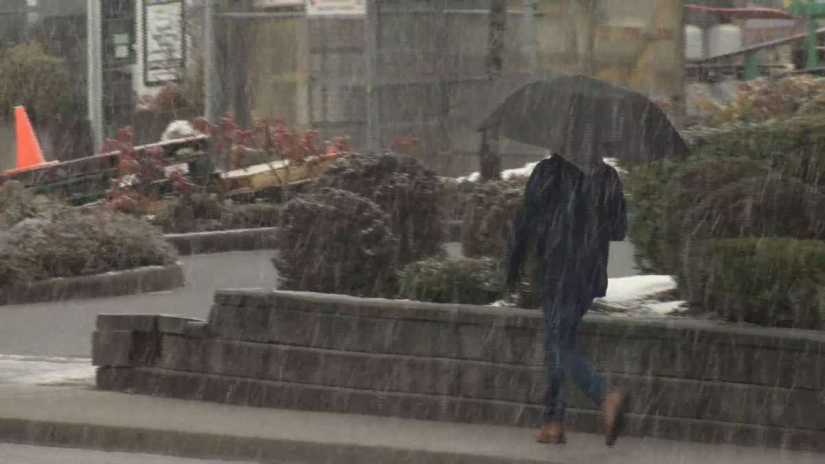 A person makes their way through thick flurries in Burnaby on Saturday morning.