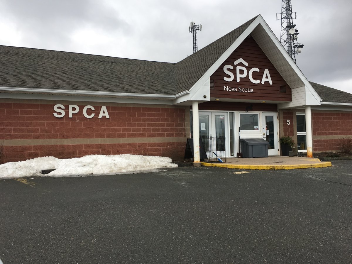 Pet ownership is a serious commitment and owners must be willing to treat their pets when they are ill and in need of medical attention, says the SPCA.