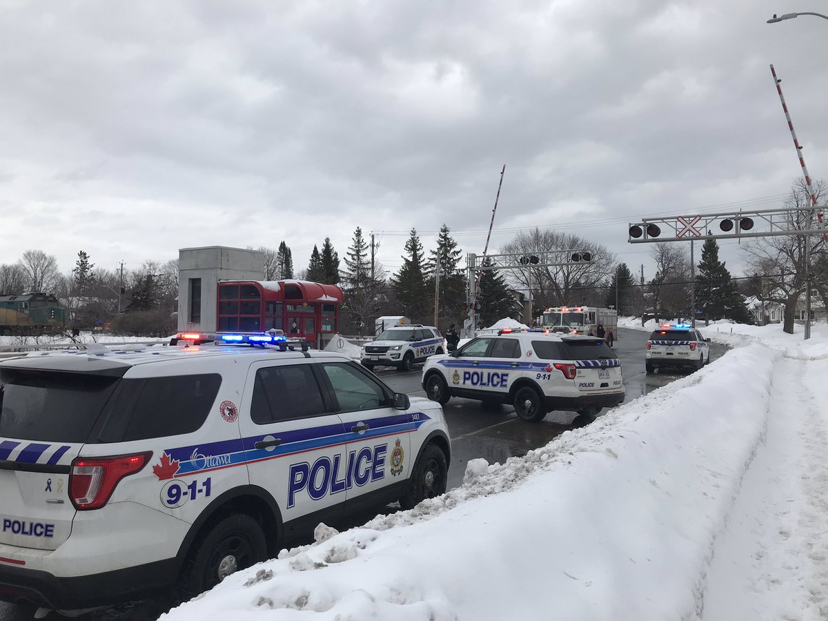 Ottawa police say a woman has died after being struck by a train while walking in the Alta Vista area, near Pleasant Park Road.