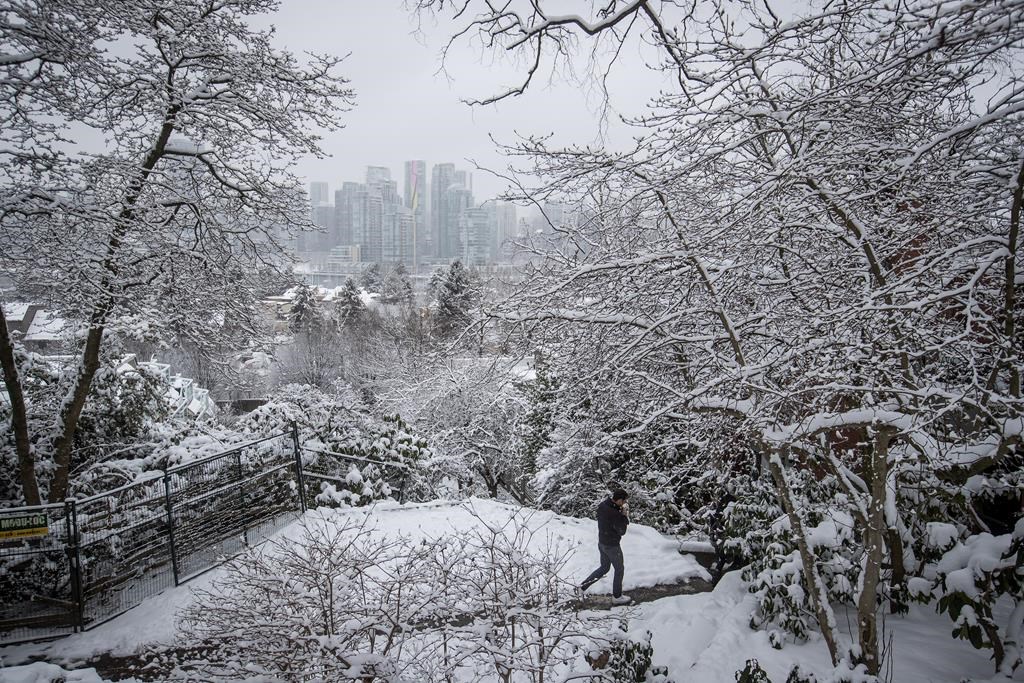 Snow clings to tree branches as man walks through a park in Vancouver, on Tuesday February 12, 2019. Environment Canada issued a snowfall warning for Metro Vancouver. THE CANADIAN PRESS/Darryl Dyck.