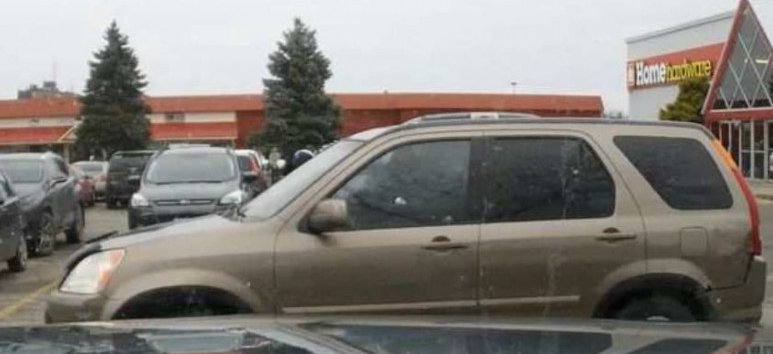 Hamilton police release photo of suspect in attempted vehicle theft investigation - image