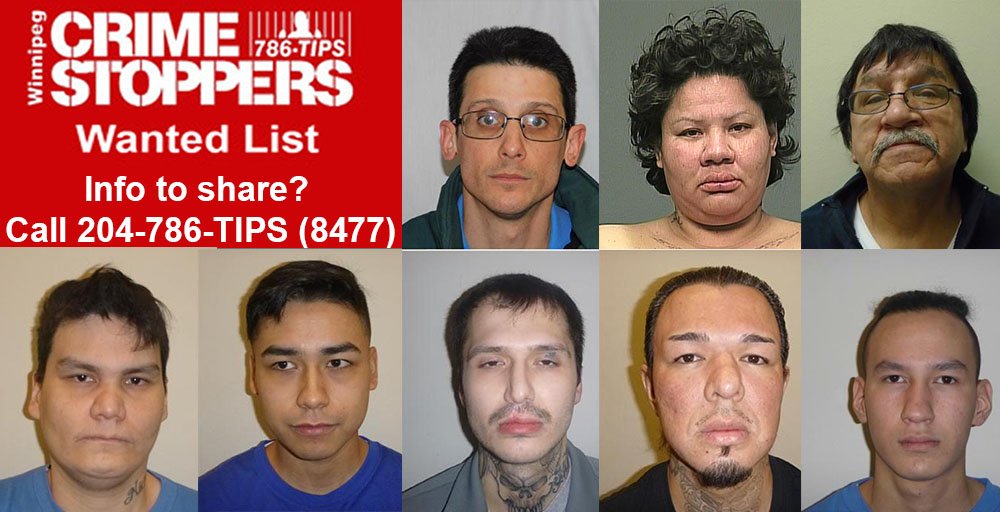 Have you seen them? Winnipeg police release February’s most-wanted list - image
