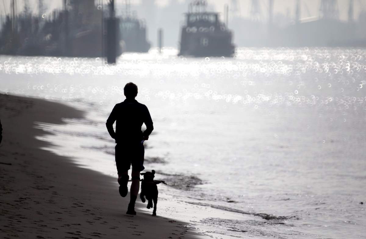 Most people who run regularly don't really like it, a new survey has found.