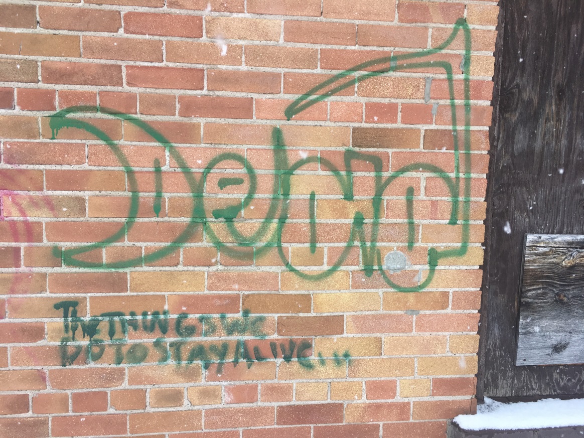 Halton police are investigating at least a dozen cases of graffiti in Georgetown.