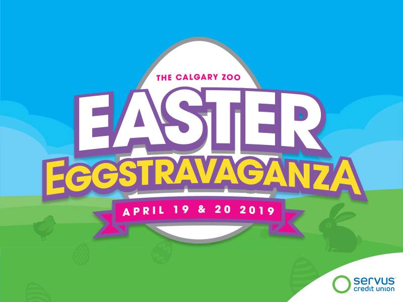 Calgary Zoo Easter Eggstravaganza - image