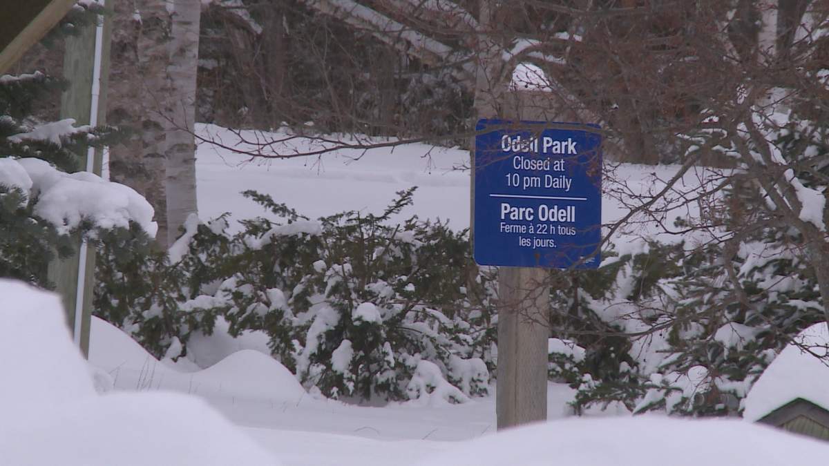 The artist will work at Odell Park.