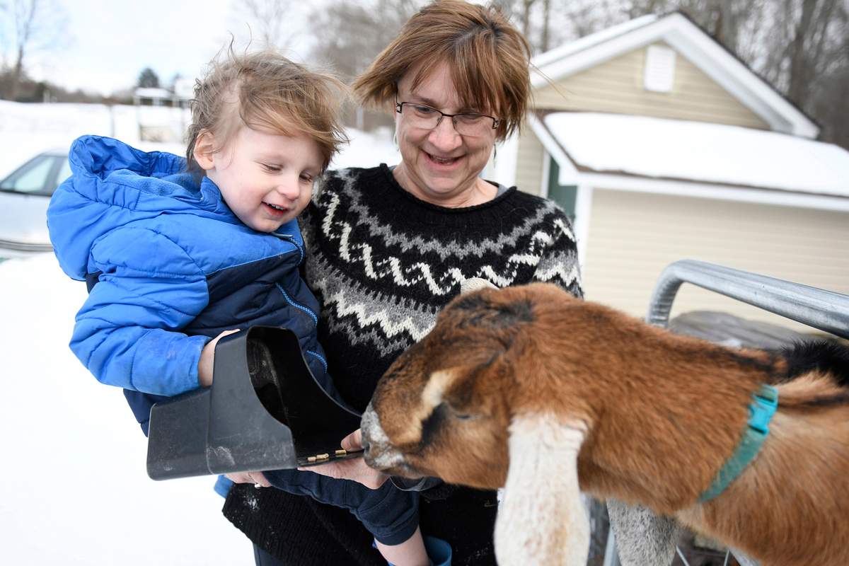 Sally Stanton, right, holds her grandson Murphy Drzewianowski as he feeds Lincoln the goat in Fair Haven, Vt. The three-year-old Nubian goat is poised to become the first honorary pet mayor of the small Vermont town of Fair Haven.