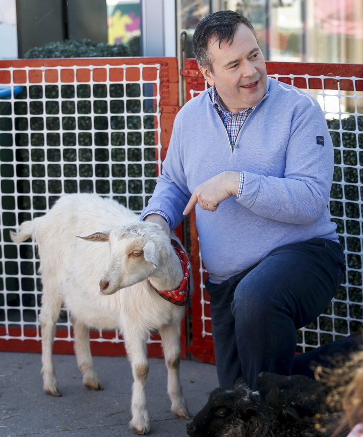 United Conservative Party leader Jason Kenney pets a goat as he attends a rally as part of the UCP campaign platform roll out in Calgary, Alta., Saturday, March 30, 2019.