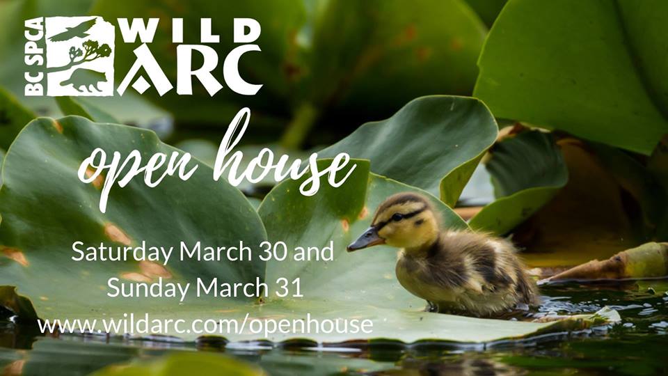 Wild ARC Open House - image