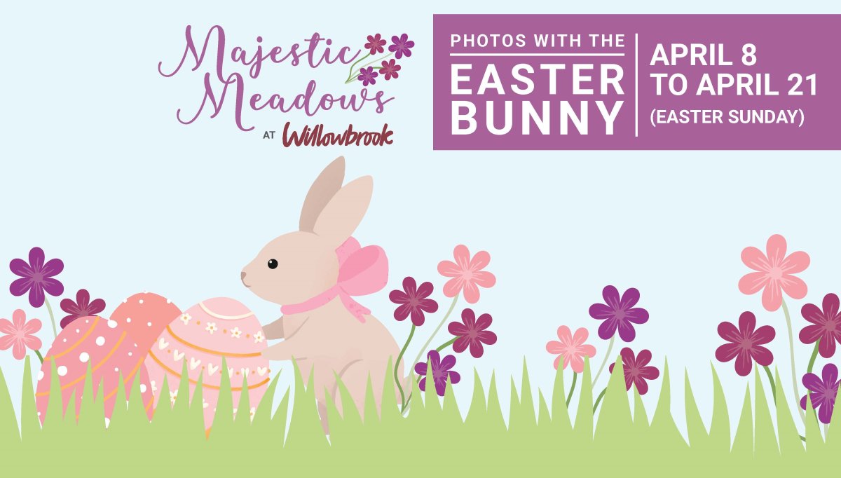 Photos With The Easter Bunny at Whimsical Willowbrook - image