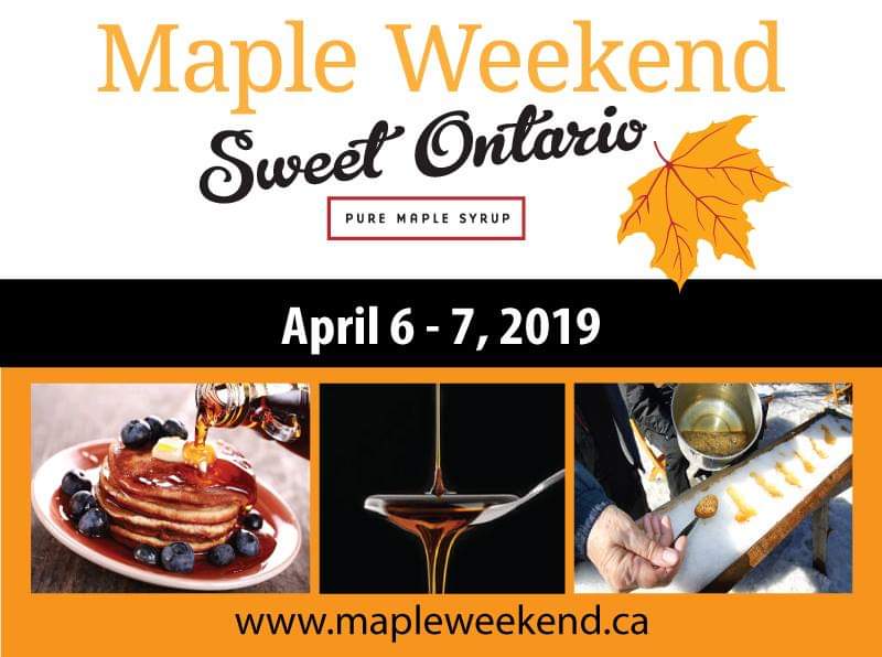Maple Weekend at Conboy Maple Syrup - image