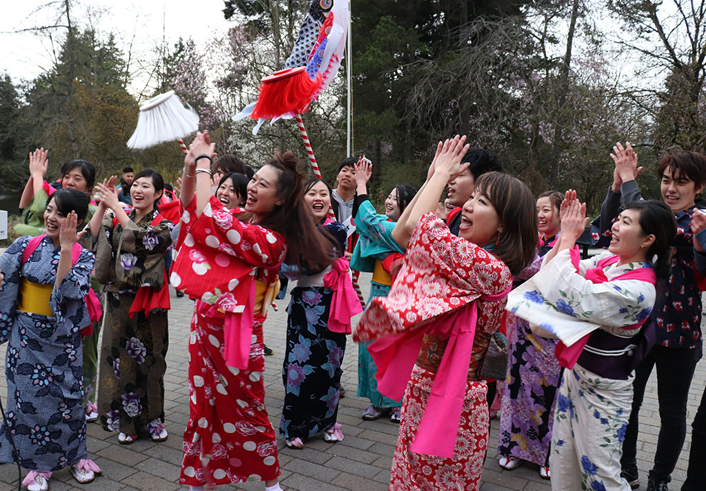 Sakura Days Japan Fair - image