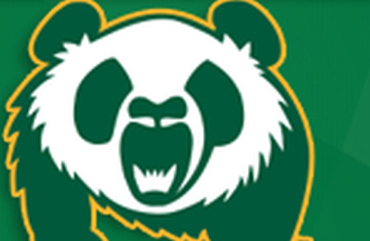 A file photo of the Alberta Pandas logo.