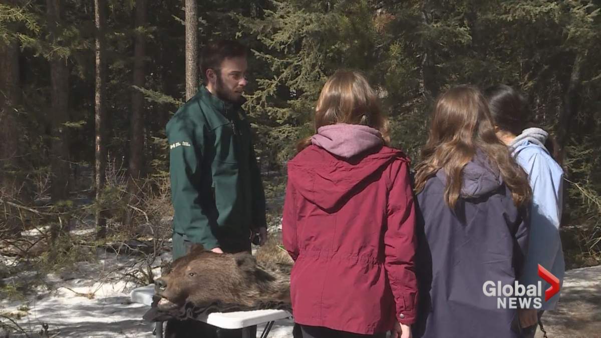 A Parks Canada employee gives a bear safety presentation near the Johnston Canyon recreation area.