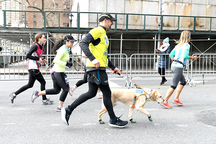 Guiding Eyes for the Blind President and CEO, Thomas Panek, runs the first ever 2019 United Airlines NYC Half Marathon led completely by guide dogs, on March 17, 2019 in New York City. 