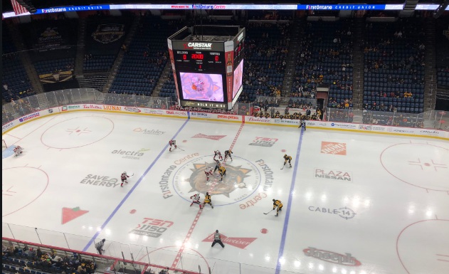 Owner Michael Andlauer's pitch for a new home for his Hamilton Bulldogs was before city councillors on Wednesday.