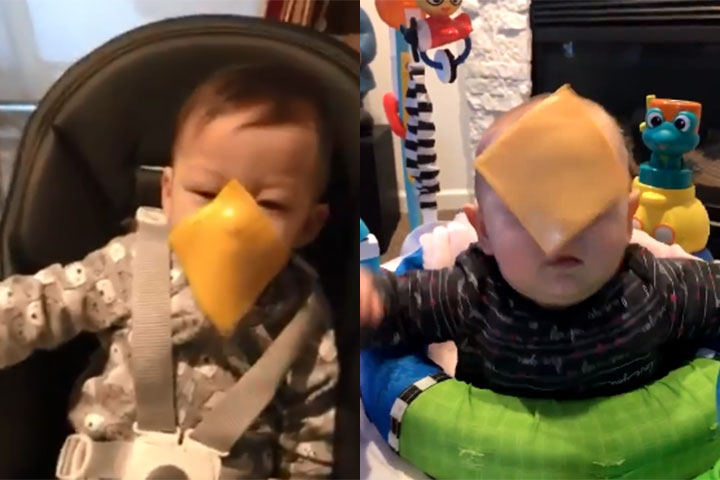 baby cheese