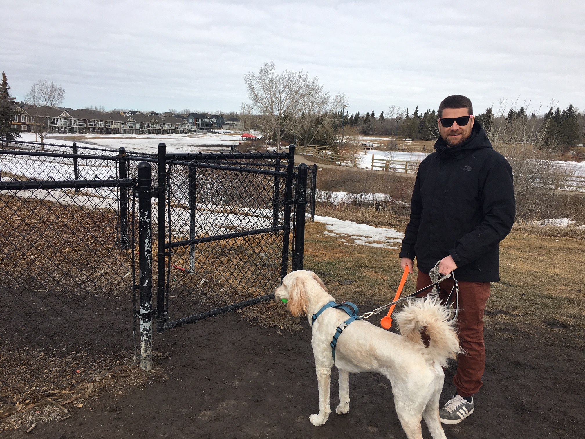 Is It An Offence Not To Pick Up Dog Poop