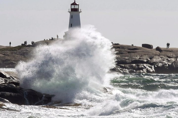Nova Scotia not immune to climate crisis laid out in ‘truly terrifying’ U.N. report