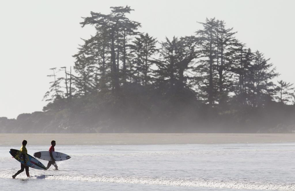 Surfers head into the water in Tofino, B.C. Wednesday, Oct. 13, 2010. THE CANADIAN PRESS/Jonathan Hayward.