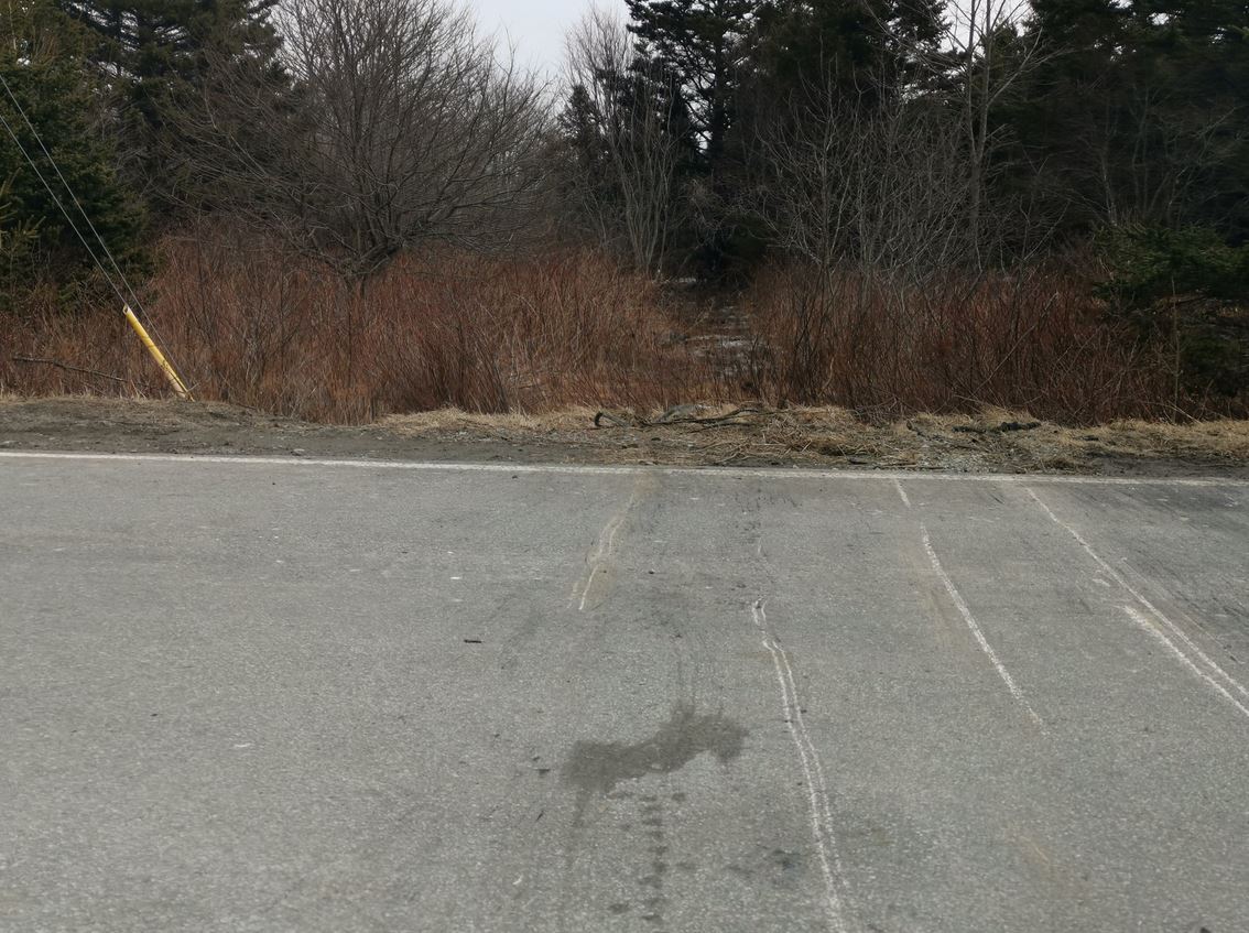 Police say the crash at the corner of Dyke and Cow Bay Road happened around 1:30 a.m. Saturday. 