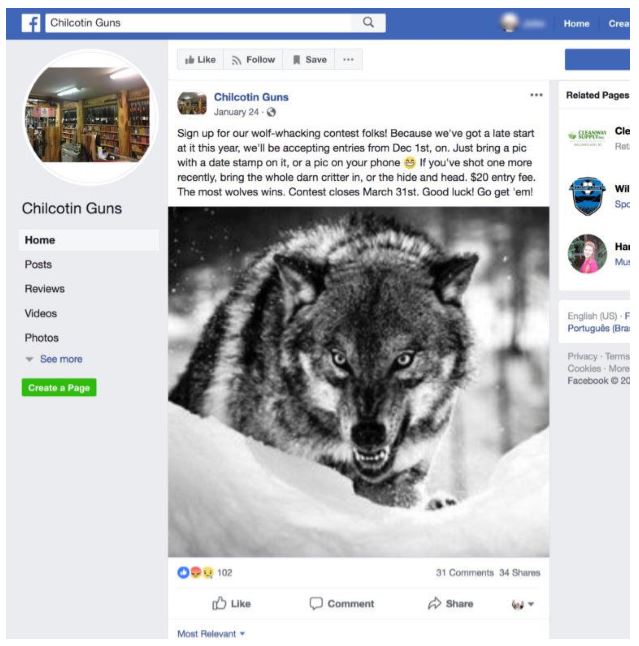 A Facebook post advertising the “wolf-whacking” contest being held by Chilcotin Guns in Williams Lake, B.C.