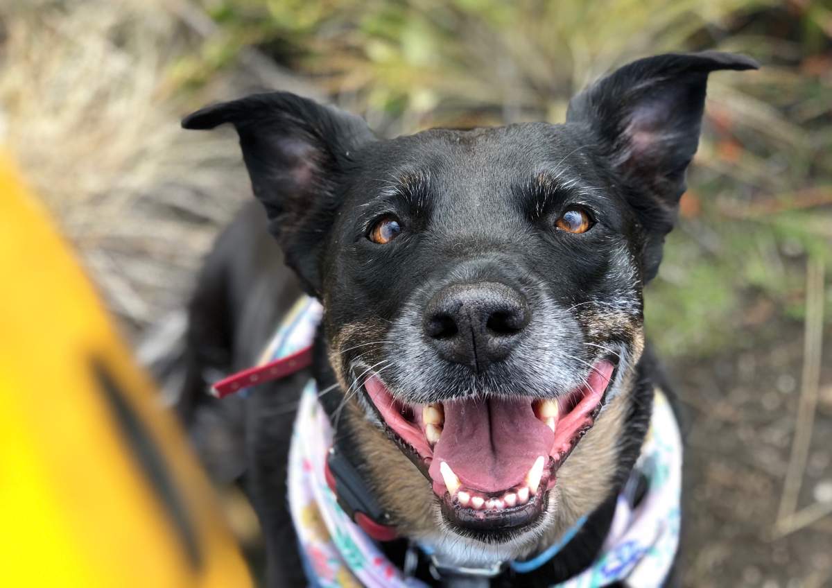 Courtesy: Jessica Leeworthy