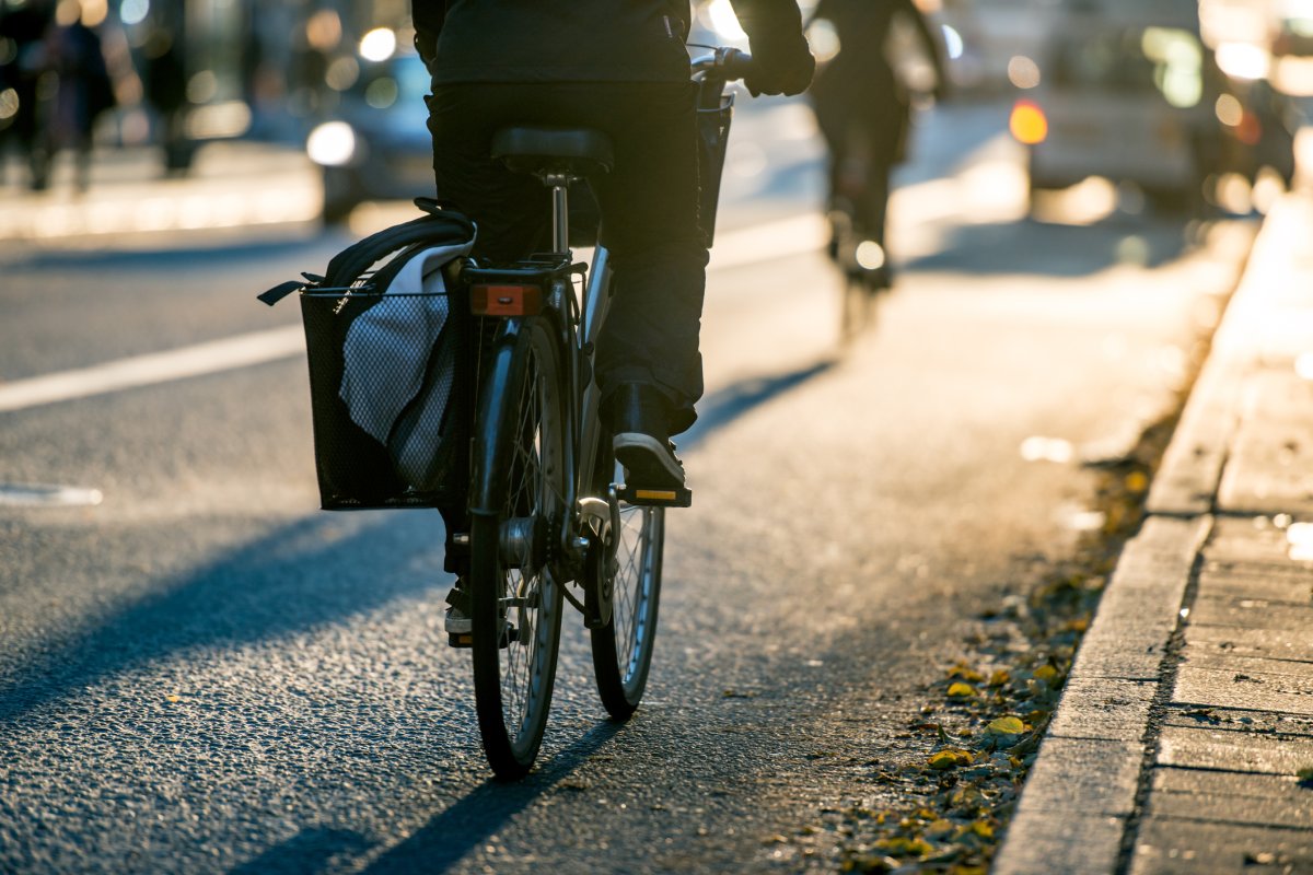 Guelph police urge drivers, cyclists to share road as spring approaches - image