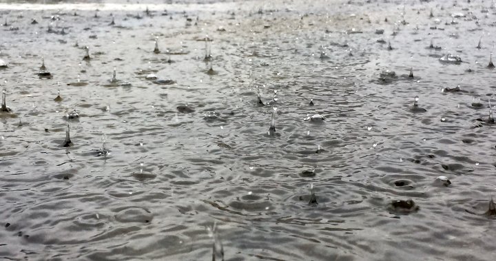 Очакваното по-меко време заедно с дъжд накара Otonabee Conservation да