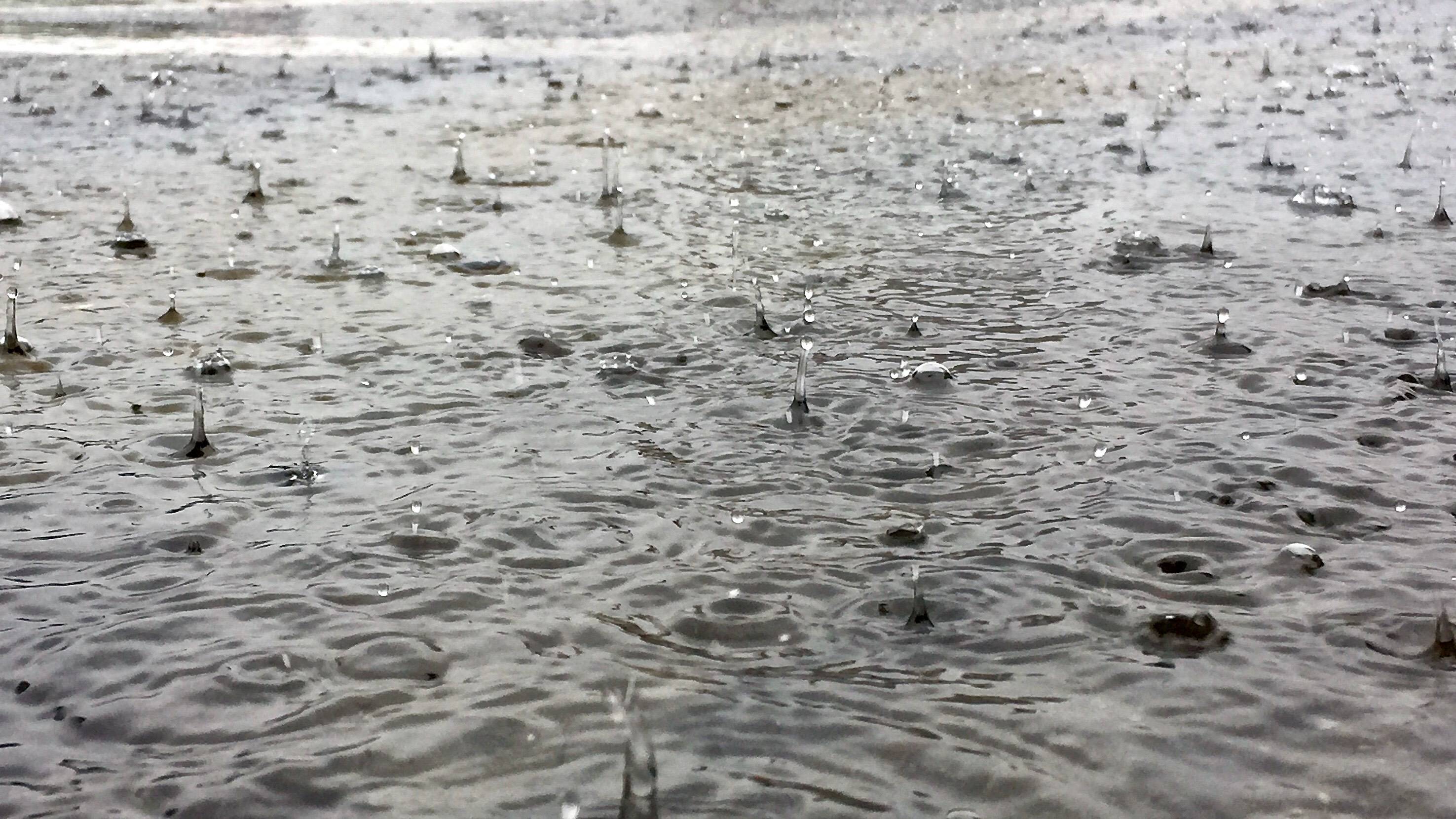Ganaraska, Crowe Valley conservation authorities issue flood advisories - Vimarsana News