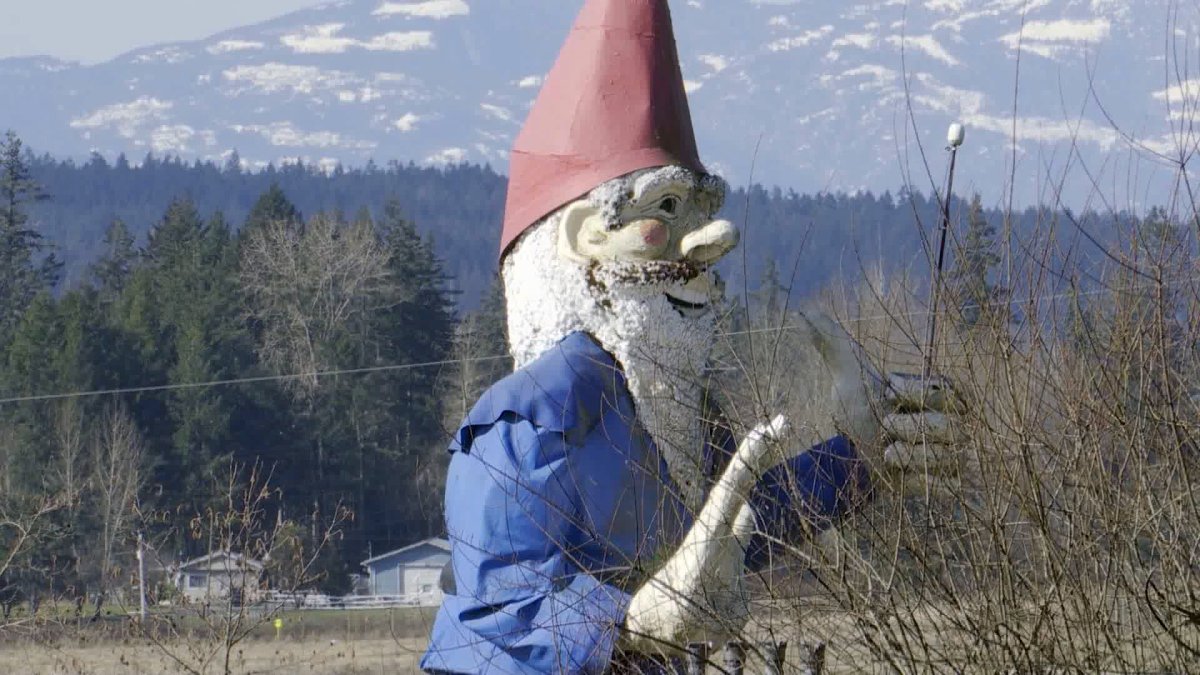 Howard, the world's largest garden gnome, has found a new home in Saanich.