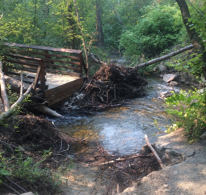 Repairs at Hardy Falls Park will include the replacement of two damaged bridges.